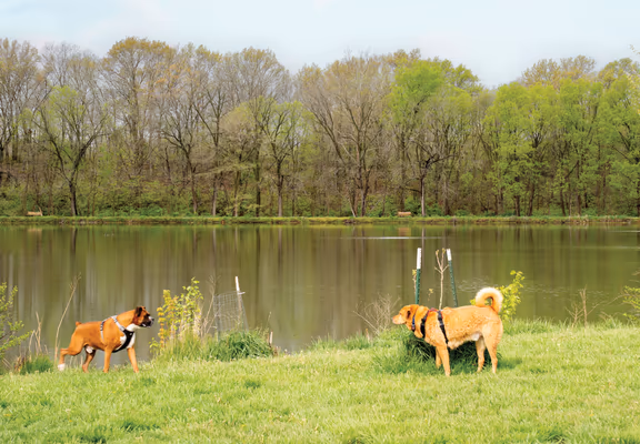 Garth Nature Area Dog Park photo 2